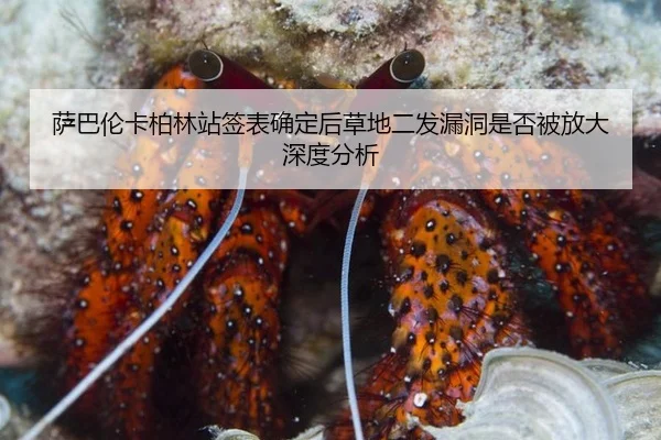 萨巴伦卡柏林站签表确定后草地二发漏洞是否被放大深度分析
