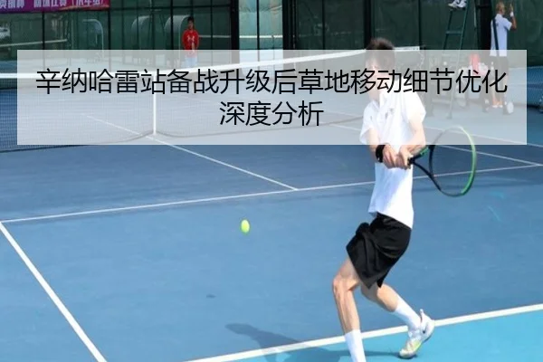 辛纳哈雷站备战升级后草地移动细节优化深度分析